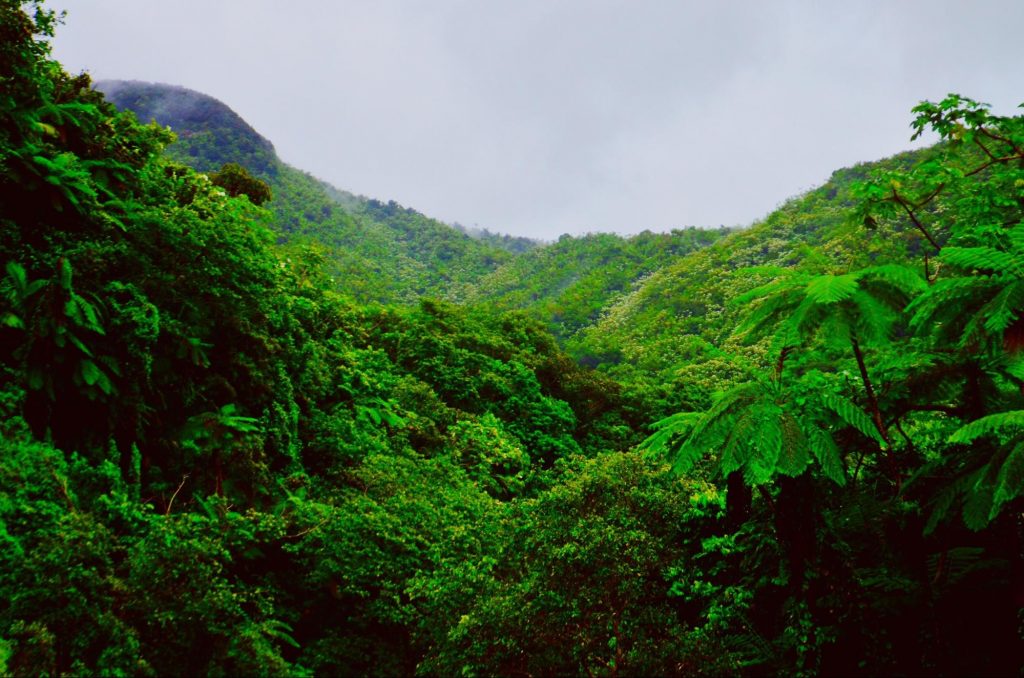 Puerto Rico