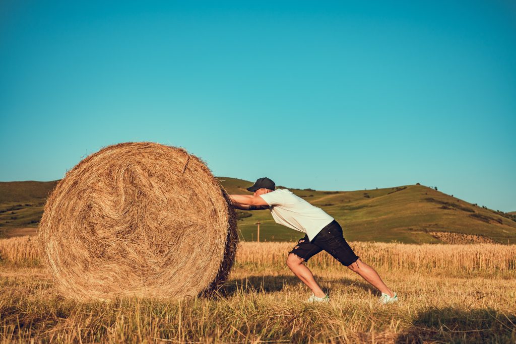 Hay, Ahí, Ay and Allí in Spanish: Different Words, Different Meanings (nothing to do with hay in English)