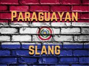Paraguayan slang