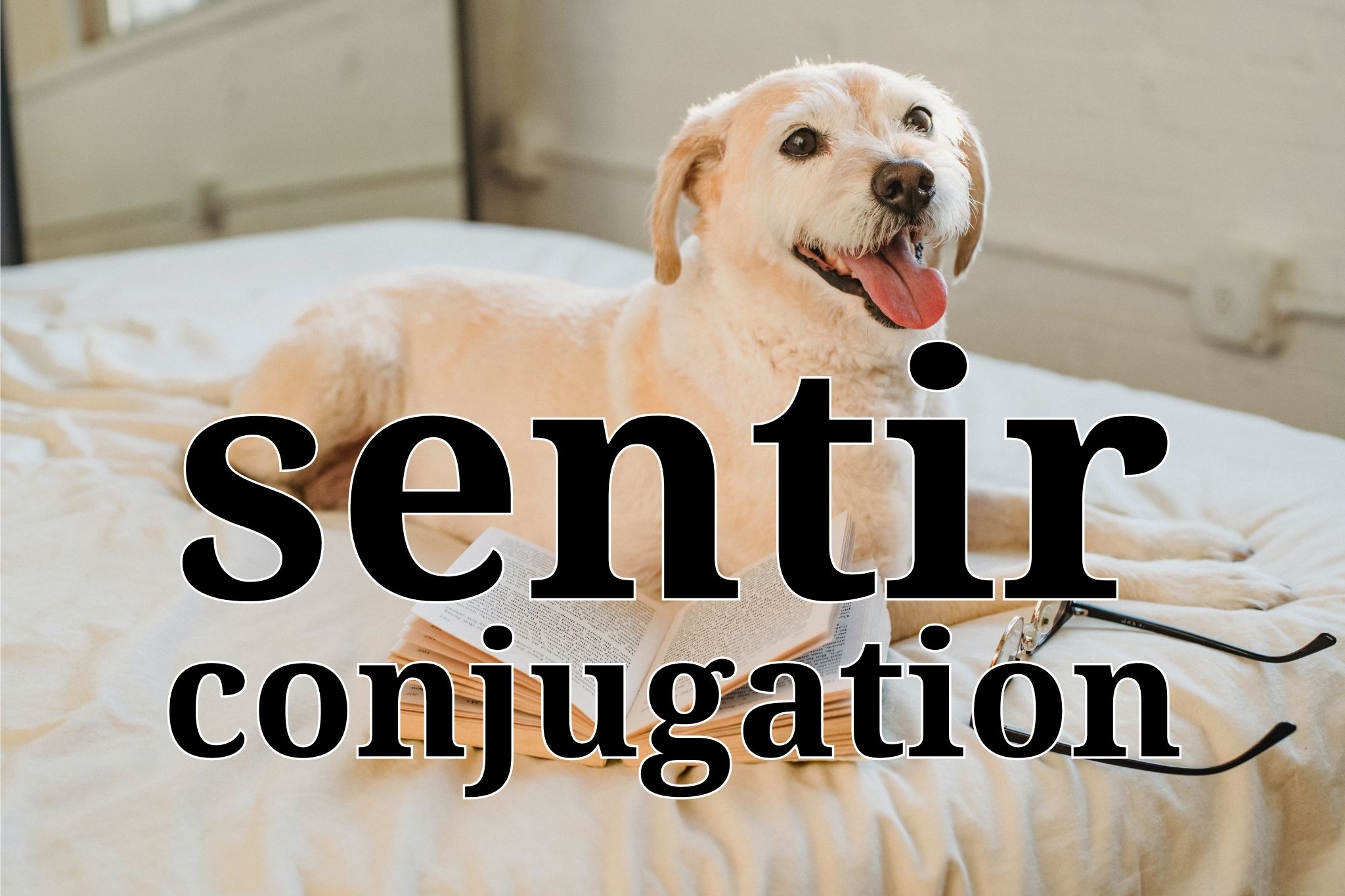 Sentir conjugation in Spanish