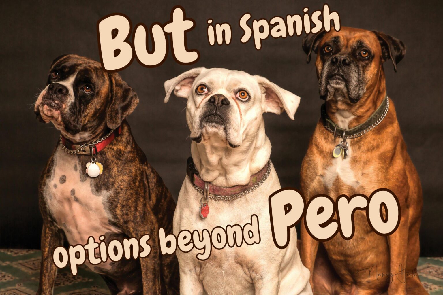 si-vs-s-learning-to-use-the-right-si-in-spanish